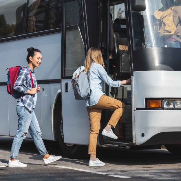 sewa bus dewaruci transport