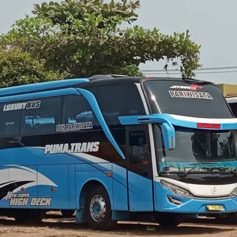 rental big bus luxury