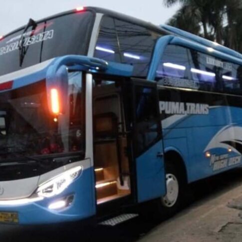 rental big bus luxury