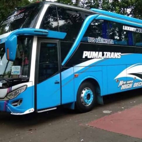 rental big bus luxury