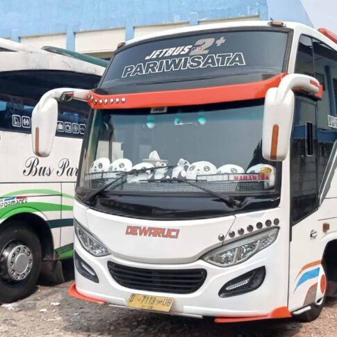 rental medium bus