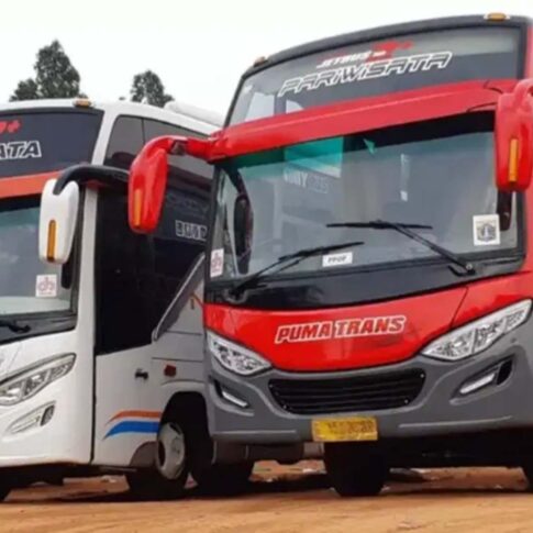 rental medium bus luxury