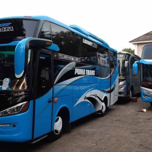 rental medium bus luxury
