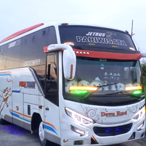 rental medium bus luxury